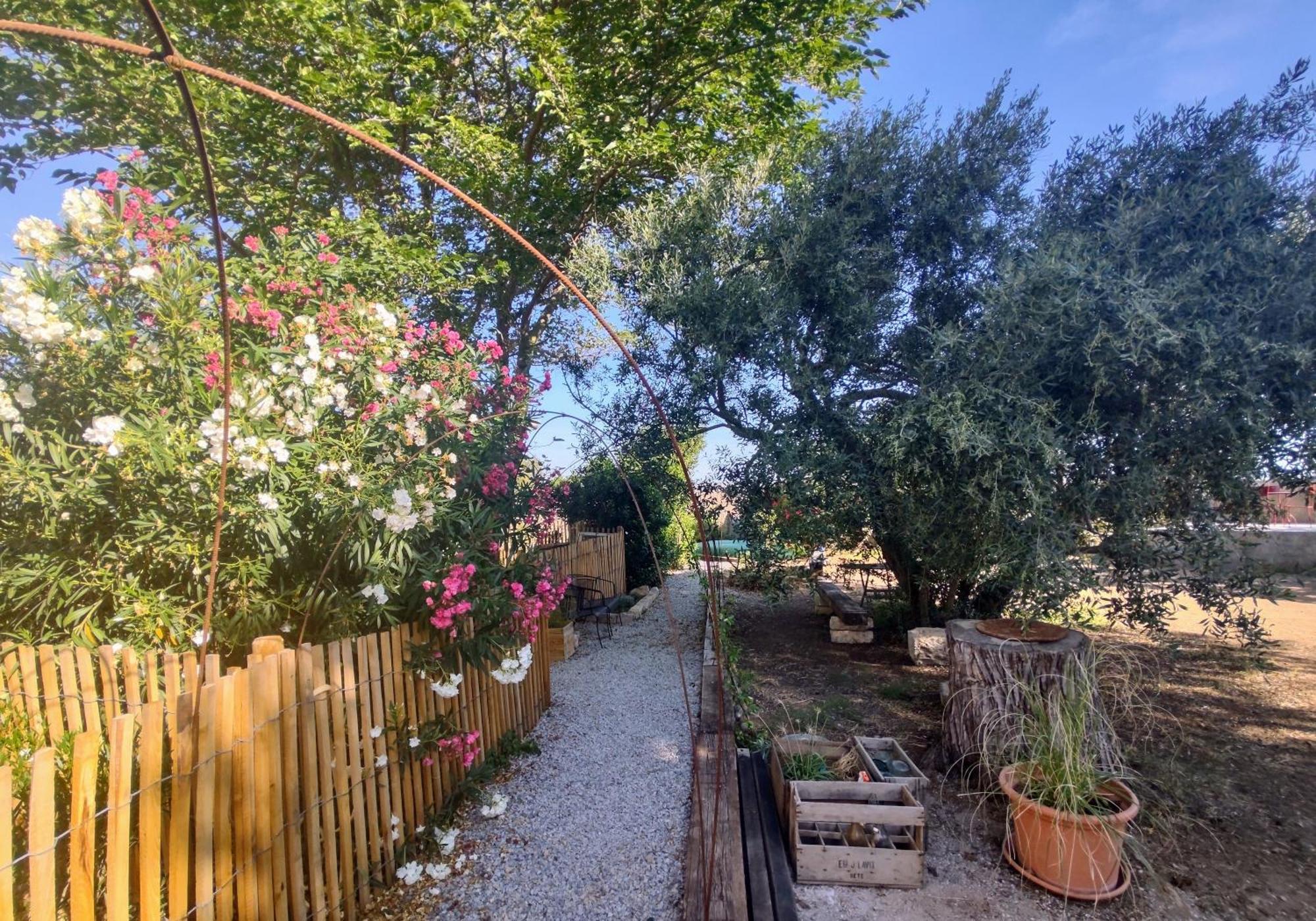 Sète Paulette La Galinette Et Laurent Le Goeland מראה חיצוני תמונה